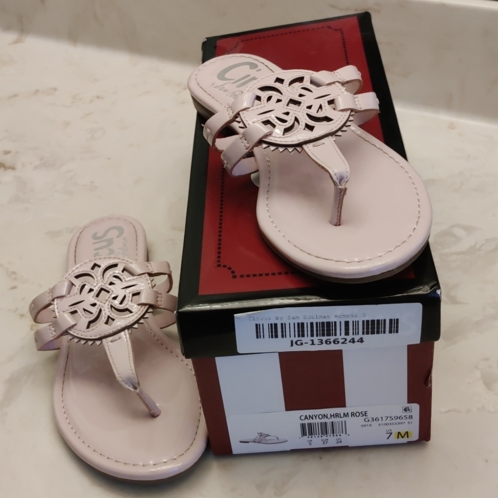 Circus by Sam Edelman Canyon thong sandal in rose